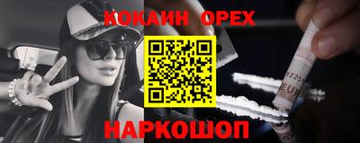 гидра Новозыбков