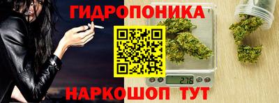 гидра Новозыбков
