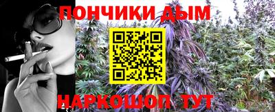 гидра Новозыбков