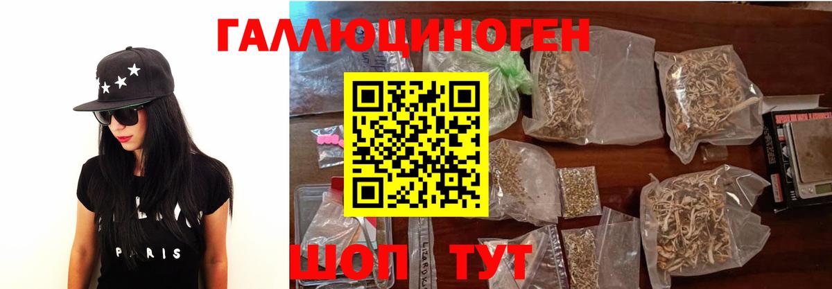 Галлюциногенные грибы Psilocybe  где найти   Вход с VPN  Удомля  Псилоцибиновые грибы Psilocybe 
